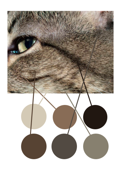 verschillende kleuren vacht