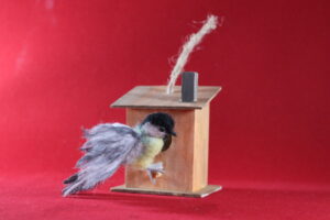 Koolmeesje in vogelhuis