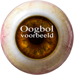 oogbol amberbruin